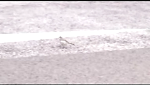 Traveling with Sptemother 2